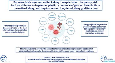 Paraneoplastic Syndrome After Kidney Transplantation: Frequency, Risk Factors, Differences to Paraneoplastic Occurrence of Glomerulonephritis in the Native Kidney, and Implications on Long-Term Kidney Graft Function